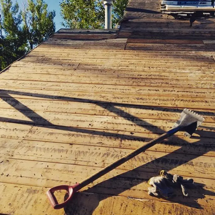 Expert roof repair and maintenance service