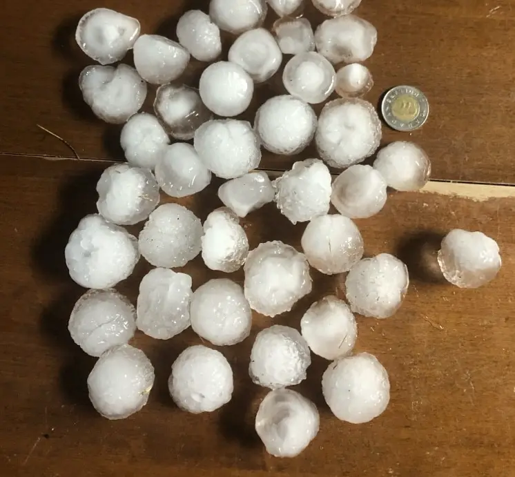Golf ball sized hail compared to Canadian toonie ($2 coin) showing actual size from Calgary hailstorm