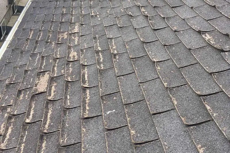 Roof Repair Calgary project 1